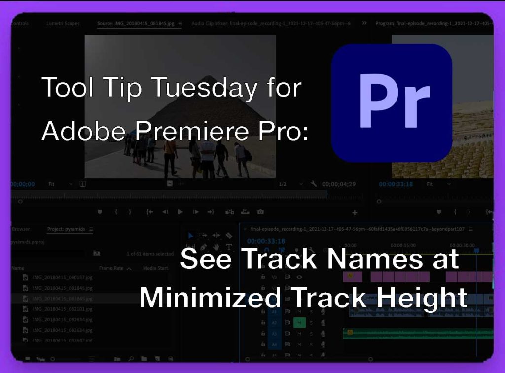 Tool Tip Tuesday for Adobe Premiere Pro: See Track Names at Minimized Track Height 13