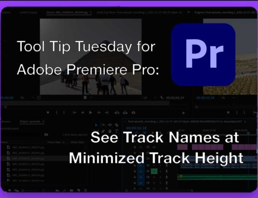 Tool Tip Tuesday for Adobe Premiere Pro: See Track Names at Minimized Track Height 39