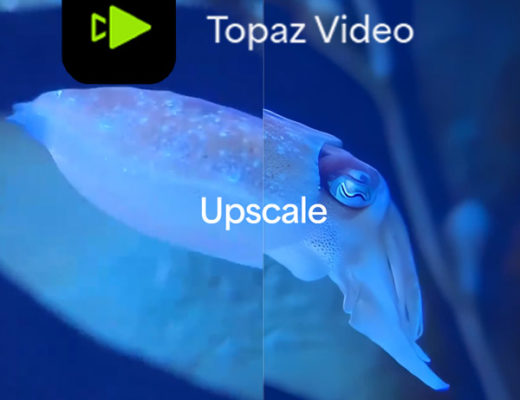 Topaz Video - In Depth Review 1