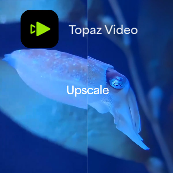 Topaz Video - In Depth Review 1