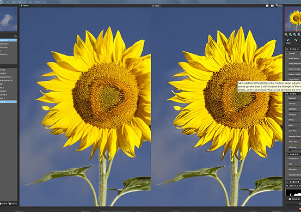 topazdetail01.jpg