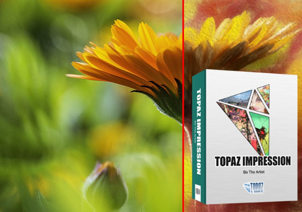 Topaz Impression 2: the democratic art tool
