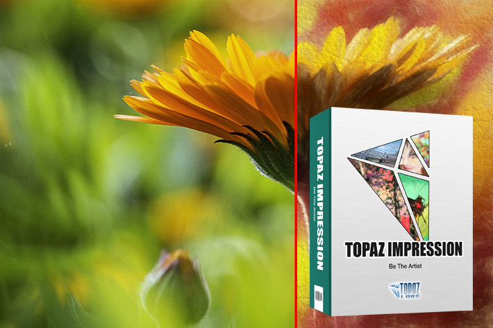 Topaz Impression 2: the democratic art tool