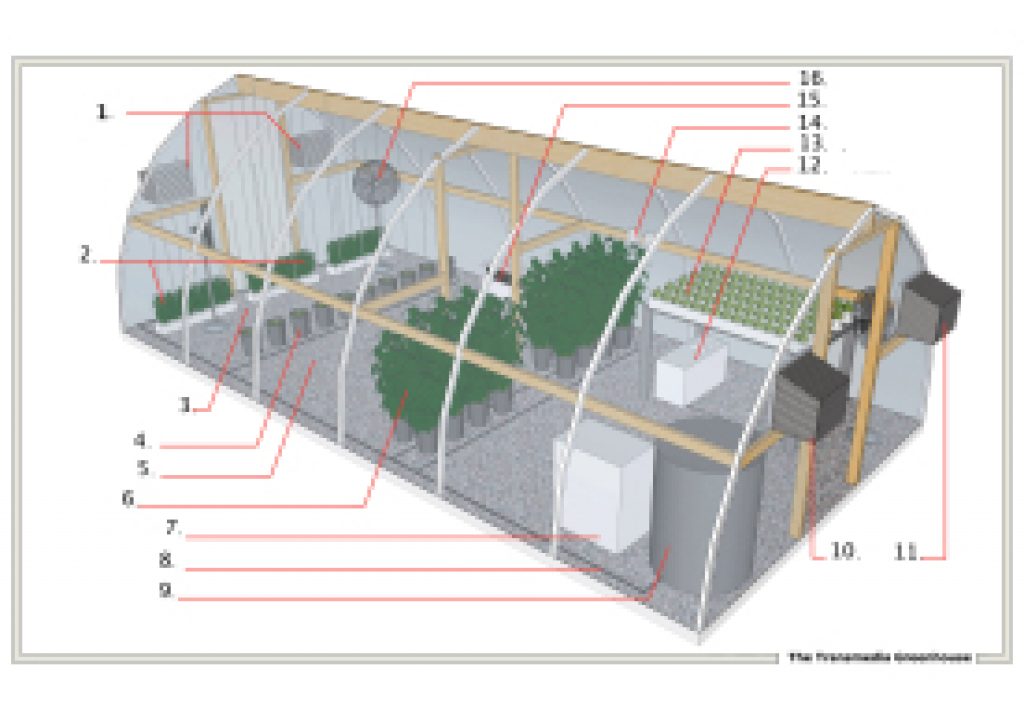 transmedia-greenhouse.jpg