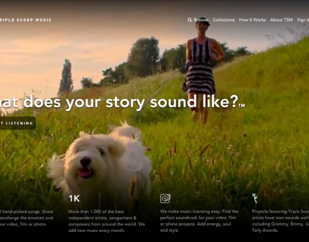 Triple Scoop Music: membership plans for music licensing