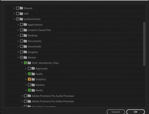 Watchtower - Automatically load media into your Premiere Pro or After Effects bins 2