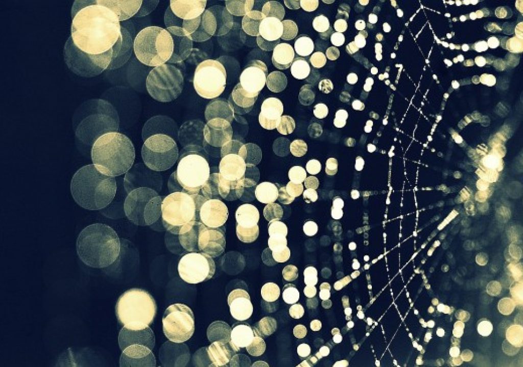 web_capture_bokeh_thumb.jpg