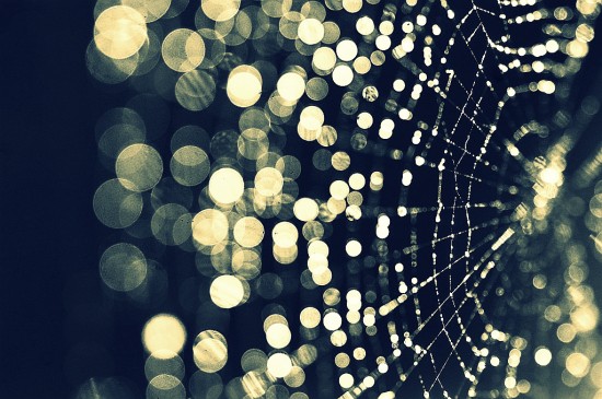 web_capture_bokeh_thumb.jpg