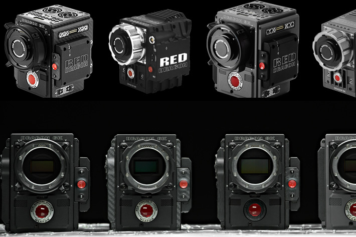 RED cameras at Wildscreen 2016