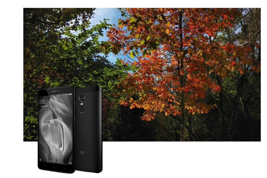 Will smartphones replace real cameras?